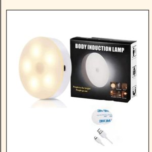 Body Induction Lamp